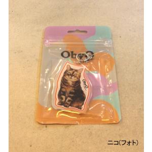 【s40】【ナナナナサーカ / 77circa...の詳細画像4