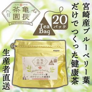 宮崎産ブルーベリー葉だけでつくった健康茶（20パック）農薬不使用、ラピッドアイ種100%使用｜noka-direct