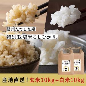 令和5年度産　20kg 　白米　玄米　コシヒカリ　お米　おこめ　長野県　信州産　立科町　たてしな　美味しい　注文を受けてから精米いたします｜nolife-azmy