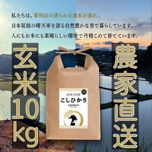 令和5年度産　10kg　玄米　コシヒカリ　立科町　たてしな　お米　おこめ　長野県　信州産　美味しい　5kg×2袋　送料無料｜nolife-azmy