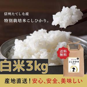 令和5年度産　3kg　白米　コシヒカリ　 お米　　　　おこめ　長野県　信州産　美味しい　立科町　たてしな　注文を受けてから精米いたします｜nolife-azmy