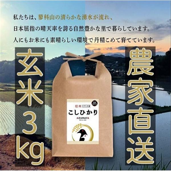 令和5年度産　　3kg　　玄米　　コシヒカリ　　お米  　　　おこめ　長野県　信州産　美味しい 立科...