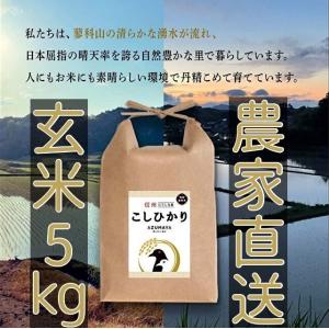 令和5年度産　5kg　玄米　コシヒカリ　お米　おこめ　長野県　信州産　美味しい 立科町　たてしな｜nolife-azmy