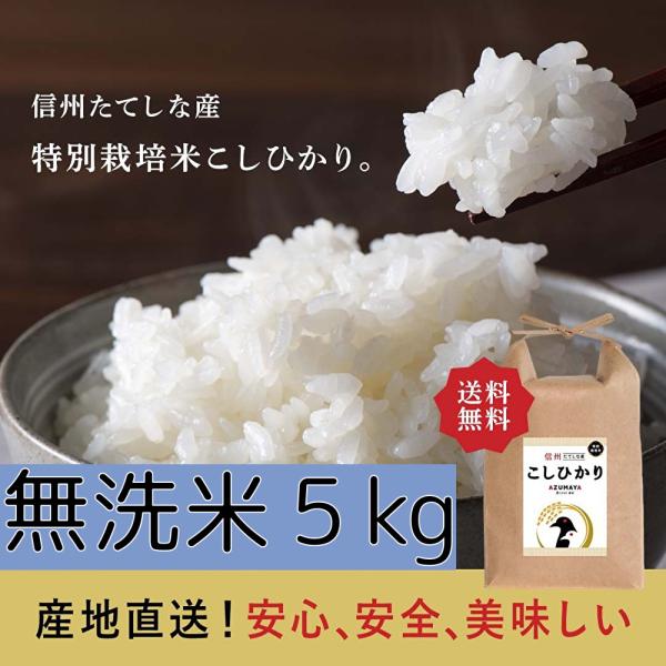 令和5年度産　5kg　無洗米　コシヒカリ 　おこめ　長野県　信州産　美味しい　立科町　たてしな　注文...