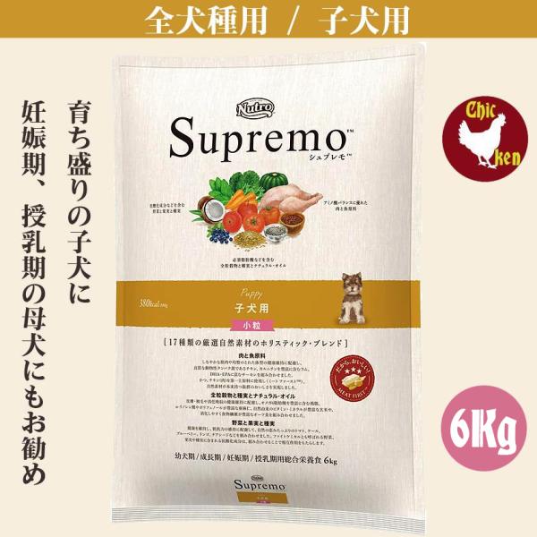 シュプレモ　子犬　6Kg