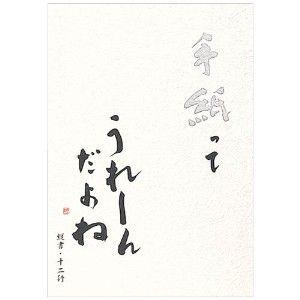 便箋 エヌビー社 高級便箋 オペラホワイトバルギー使用 手紙ってうれしいんだよね 便箋 10冊セット...