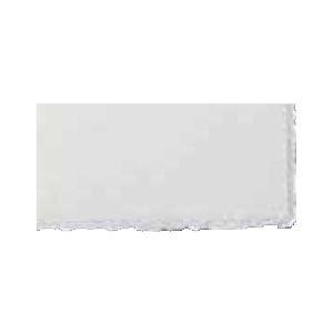 版画紙 キャンソン BFKリーブ 250グラム シルク肌/白 100枚セット 560X760ミリ 版画用紙 4281-111