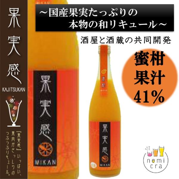 果実感 みかん リキュール 720ml 9度 果汁分41％