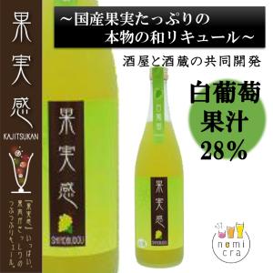 琉球の酒 ハブ酒 （ハブ入） 35度 800ml 送料無料 沖縄 お酒 お土産