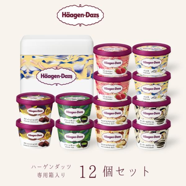 ハーゲンダッツ アイスクリーム ギフト ミニカップ（110ml) おすすめ12個セット