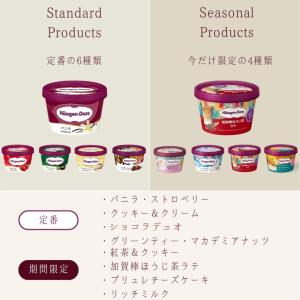 お中元 夏ギフトハーゲンダッツ アイスクリーム...の詳細画像1