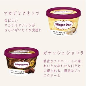 ハーゲンダッツ アイスクリーム ミニカップ 2...の詳細画像2