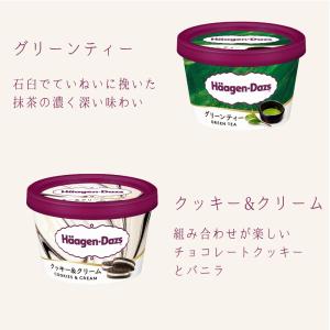 ハーゲンダッツ アイスクリーム ミニカップ 2...の詳細画像3