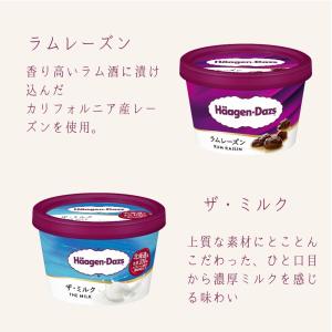 ハーゲンダッツ アイスクリーム ミニカップ 2...の詳細画像4