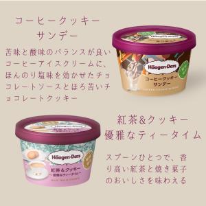 ハーゲンダッツ アイスクリーム ミニカップ 2...の詳細画像5