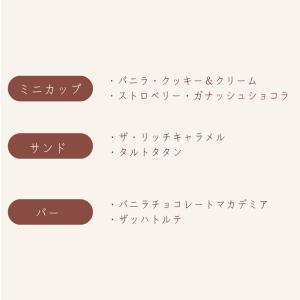 ハーゲンダッツ アイスクリーム 人気の8種のフ...の詳細画像3