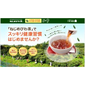 ねじめ びわ茶24(2gティーバッグ 24包入...の詳細画像1