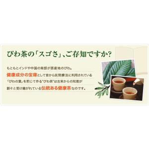 ねじめ びわ茶24(2gティーバッグ 24包入...の詳細画像2