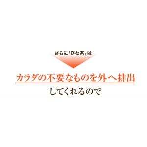 ねじめ びわ茶24(2gティーバッグ 24包入...の詳細画像3