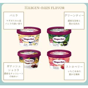 アイス ギフト ハーゲンダッツ(4種) アイス...の詳細画像3