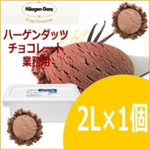 ハーゲンダッツ チョコレート 業務用 2L