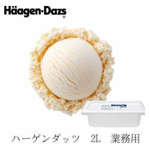 ハーゲンダッツ リッチミルク 業務用 2L