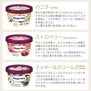 母の日 花いちごとハーゲンダッツギフトセット Apaproduction Fr