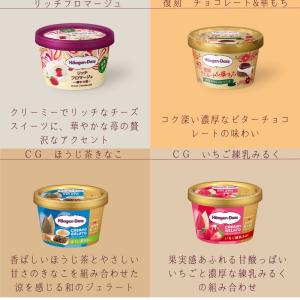 ハーゲンダッツ アイスクリーム アイス ギフト...の詳細画像2