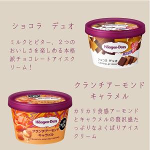 敬老の日 夏ギフト ハーゲンダッツ アイスクリ...の詳細画像5