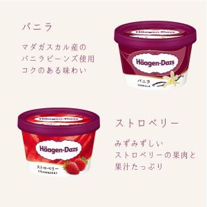 お中元 夏ギフト ハーゲンダッツ アイスクリー...の詳細画像5