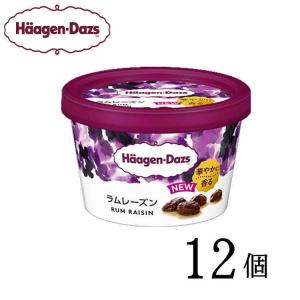 ハーゲンダッツ ミニカップ ラムレーズン 12個...の商品画像