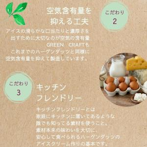 ハーゲンダッツ 新商品お試しセット グリーンク...の詳細画像3