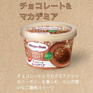 ハーゲンダッツ 新商品お試しセット グリーンク...の詳細画像4
