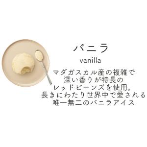 ハーゲンダッツ業務用2L 2個入り 4種類から...の詳細画像2