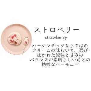 ハーゲンダッツ業務用2L 2個入り 4種類から...の詳細画像3