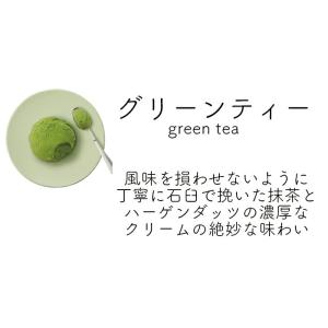 ハーゲンダッツ業務用2L 2個入り 4種類から...の詳細画像4