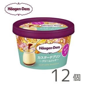 ハーゲンダッツ ミニカップ カスタードプリン 〜クリームリッチ〜 12個