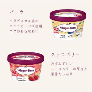 ハーゲンダッツ アイスクリーム ギフト ミニカ...の詳細画像3