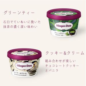 ハーゲンダッツ アイスクリーム ギフト ミニカ...の詳細画像4