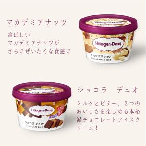 ハーゲンダッツ アイスクリーム ギフト ミニカ...の詳細画像5