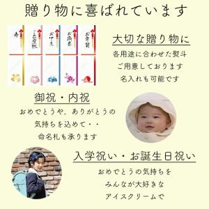 お中元 アイス ハーゲンダッツ 40周年アニバ...の詳細画像2