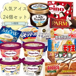 アイスクリーム アイス 人気アイスクリーム24個詰め合わせ ハーゲンダッツ ボーデン 雪見だいふくピノ パルム パピコ｜nomimon