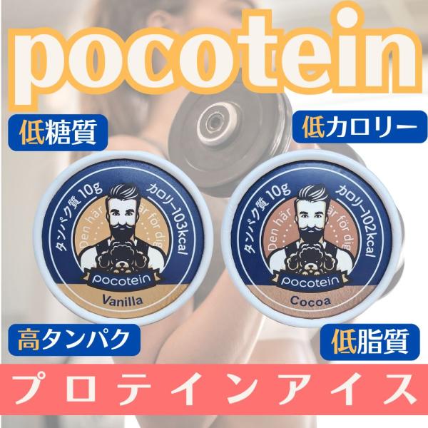 ポコテイン アイスクリーム 48 個 プロテインアイス バニラとココア  　お歳暮 冬ギフト　