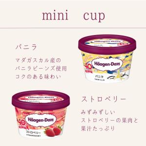 ハーゲンダッツ アイスクリーム スペシャルセッ...の詳細画像5