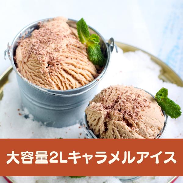 共進乳業 共通アイス キャラメル 2L
