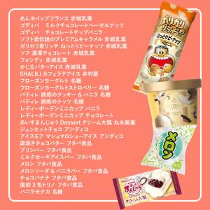 アイスクリーム 詰め合わせ 福袋 合計26個入...の詳細画像3