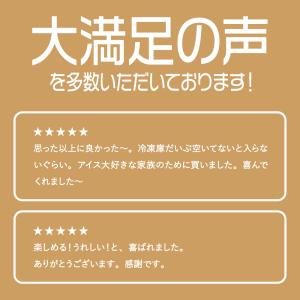 アイスクリーム 詰め合わせ 福袋 合計26個入...の詳細画像5