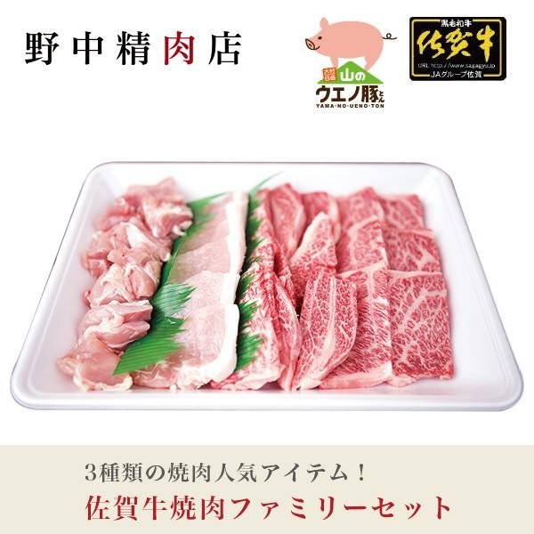 焼肉セット バーベキューに最適 佐賀牛焼肉ファミリーセット カルビ ロース 山のウエノ豚 長崎鶏（3...