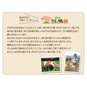国産 豚バラ肉 300g 山のウエノ豚 すき焼...の詳細画像1