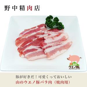 豚肉 焼肉用 豚バラ肉 山のウエノ豚 300g（1〜2人分）｜nonaka29